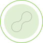 circled shapes_d