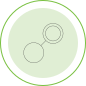 circled shapes_d (2)